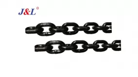 Lifting Chain